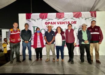 Tláhuac, principal productor, arranca comercialización de romeritos para Semana Santa