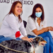 Por el bienestar animal, alistan Primer Expo Pet Tláhuac 2023