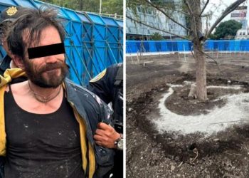 Vinculan a proceso al   hombre que regó con cemento ahuehuete en Reforma