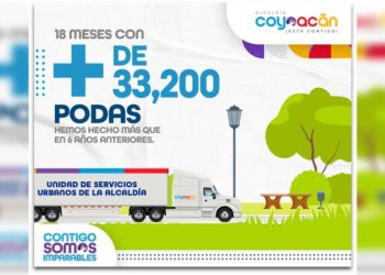 Van más de 33 mil 200 podas realizadas en Coyoacán