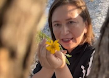 Precisamente Xóchitl dijo que va a esperar al anuncio de los dirigentes del PAN, PRI y PRD sobre el método de selección de su candidato, pero lo más importante para ella, es que si se va a garantizar o no cancha pareja para todos los aspirantes.