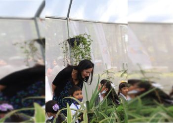 Inaugura Lía Limón hotel para insectos e invernadero en la explanada de la Alcaldía