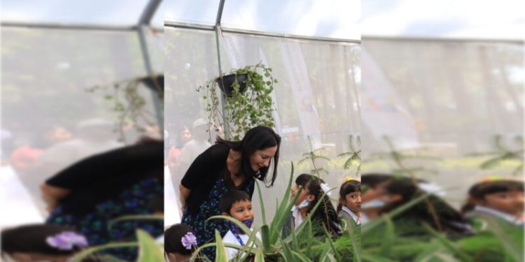 Inaugura Lía Limón hotel para insectos e invernadero en la explanada de la Alcaldía