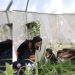 Inaugura Lía Limón hotel para insectos e invernadero en la explanada de la Alcaldía