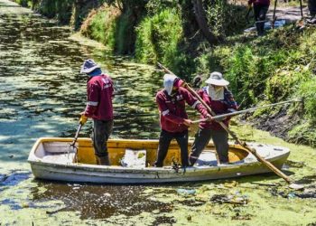 Alcaldía y Corena recuperan zona canalera de Tláhuac