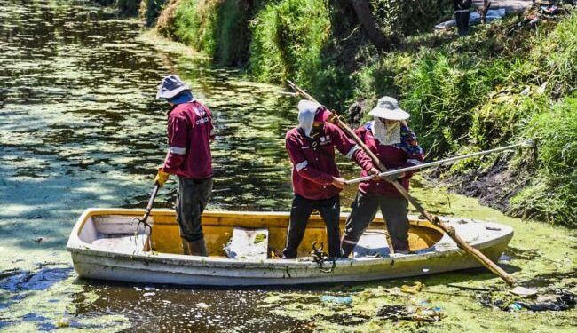 Alcaldía y Corena recuperan zona canalera de Tláhuac