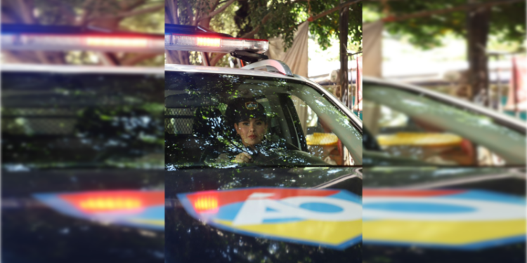 Se han realizado 154 operativos contra fiestas clandestinas: Lía Limón