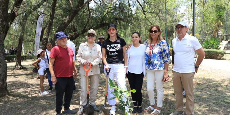 Se plantarán 3 mil árboles en la Alcaldía: Lía Limón