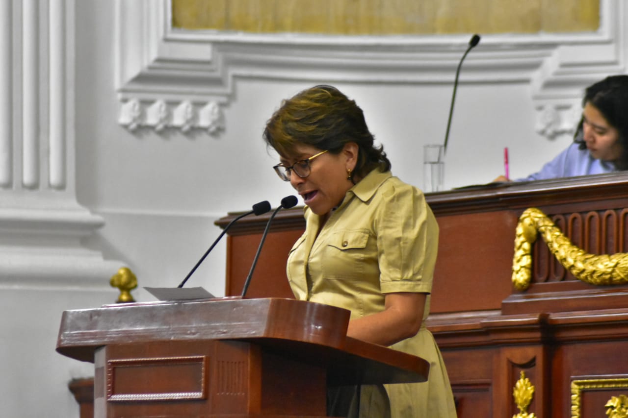 La iniciativa fue presentada por las diputadas Martha Avila y Guadalupe Morales Rubio, coordinadora y vicecoordinadora del Grupo Parlamentario de MORENA, respectivamente.