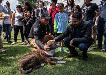 El jefe de Gobierno Martí Batres encabezó la presentación del proyecto “Ciudad de los Perros y de los Gatos”, que formará parte de la Brigada de Vigilancia Animal (BVA), perteneciente a la Secretaría de Seguridad Ciudadana (SSC), donde los animales abandonados podrán recuperarse física y emocionalmente para luego ser adoptados.