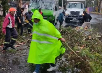 Atiende Coyoacán emergencia por lluvias con ráfagas de viento atípicas