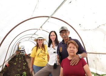Con los huertos comunitarios e invernaderos de la Alcaldía, se favorece la economía de grupos vulnerables: Lía Limón
