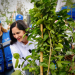Rebasamos la meta de sembrar 3 mil árboles este año: Lía Limón
