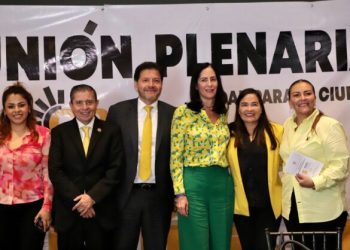 Se requiere un secretario de seguridad ciudadana de tiempo completo, no un aspirante a la jefatura de Gobierno: Lía Limón