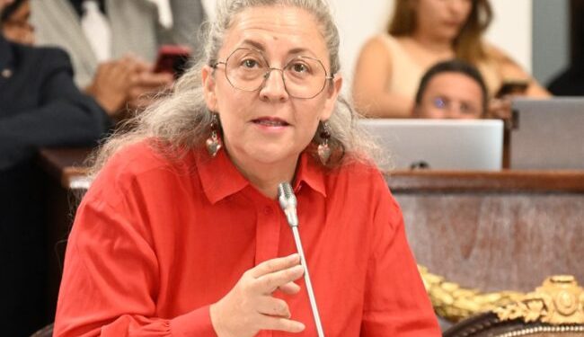 Congreso local busca evitar reincidencia por violencia de género