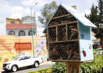 Coloca Lía Limón Hoteles Polinizadores en más zonas verdes de la Alcaldía