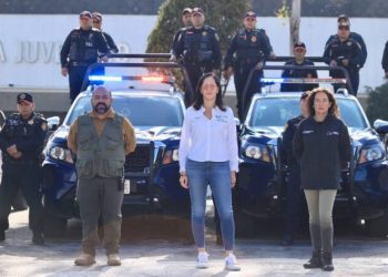 Saldo blanco esta Noche Buena en Álvaro Obregón: Lía Limón