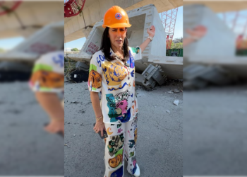 Exige Lía Limón se detenga la construcción del Tren Interurbano en tanto no se den garantías de seguridad para los vecinos