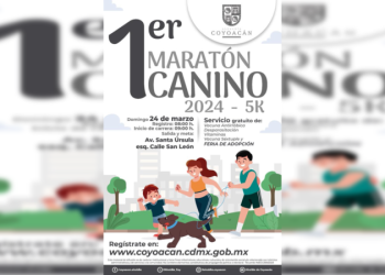 Invita Coyoacán al Primer Maratón Canino