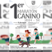 Invita Coyoacán al Primer Maratón Canino