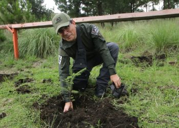 Tlalpan arranca jornada de reforestación 2024