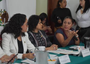 Si bien en la Alcaldía Tlalpan aún falta solucionar diversas problemáticas, hay que reconocer que la Titular de esta demarcación, Gabriela Osorio Hernández, sí destina el presupuesto público en lo que las y los habitantes verdaderamente necesitan y además transparenta su manejo, aseguró la diputada Xóchitl Bravo Espinosa.
