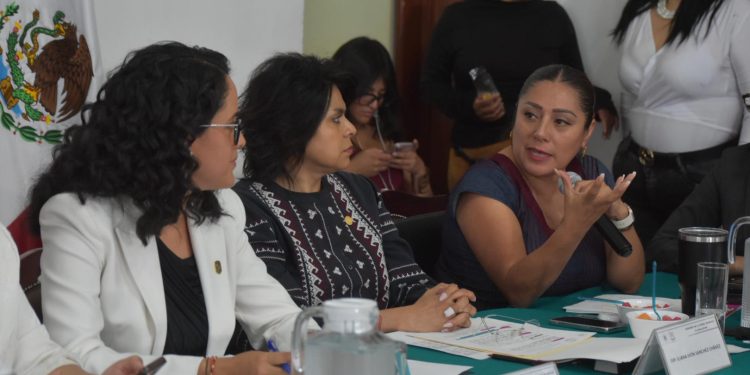 Si bien en la Alcaldía Tlalpan aún falta solucionar diversas problemáticas, hay que reconocer que la Titular de esta demarcación, Gabriela Osorio Hernández, sí destina el presupuesto público en lo que las y los habitantes verdaderamente necesitan y además transparenta su manejo, aseguró la diputada Xóchitl Bravo Espinosa.