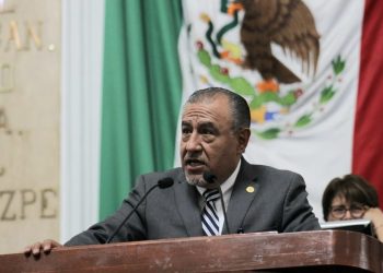 Urgen acciones contra plaga de muérdago en arbolado de CDMX