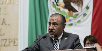 Urgen acciones contra plaga de muérdago en arbolado de CDMX