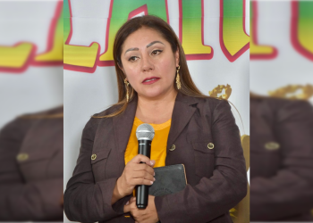 La propiedad privada en la Ciudad de México está totalmente garantizada, como lo establecen la Constitución Política Federal y la Carta Magna capitalina, por lo que es una mentira más de la bancada del PAN en el Congreso local que se pretenda expropiar y despojar de sus inmuebles a la gente, aseveró la diputada Xóchitl Bravo Espinosa.