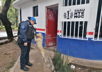 “Abandonar a un animal no solo es cruel, es un delito”, acusa Rojo de la Vega.
