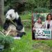 La jefa de Gobierno, Clara Brugada Molina encabezó la develación del billete de la Lotería Nacional “Panda Xin Xin 35 años” con lo que se otorga un reconocimiento a la osa gigante de 35 años de edad –equivalentes a más 100 de humano–, siempre viviendo en el Zoológico de Chapultepec. FOTOS: Especial