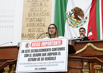 Impulsa PT reforma contra ‘estacionamientos mafiosos’, Jannette Guerrero, diputada PT. FOTO: Especial