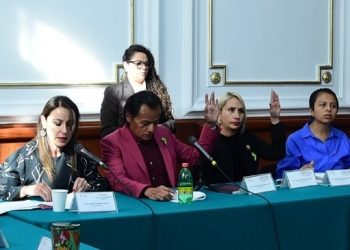 Las Comisiones Unidas de Inclusión, Bienestar Social y Exigibilidad de Derechos Sociales y de Igualdad de Género del Congreso capitalino aprobaron el acuerdo que establece el proceso para la realización de la etapa previa de la consulta sobre un Sistema Público de Cuidados de la Ciudad de México. FOTO: Especial