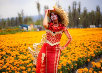 CDMX celebrará el Día de Muertos con 500 actividades