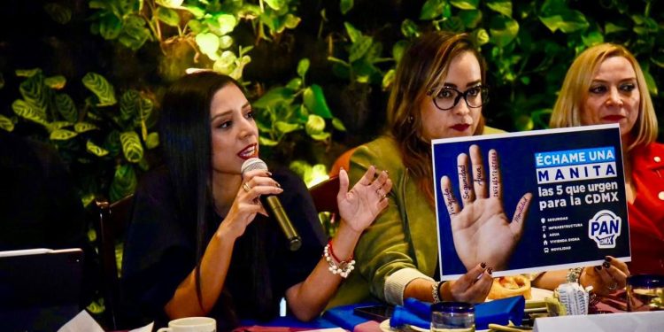 La presidenta del PAN en la Ciudad de México, Luisa Gutiérrez dijo que priorizarán, las causas ciudadanas y no las alianzas con otros partidos políticos. FOTO: Especial