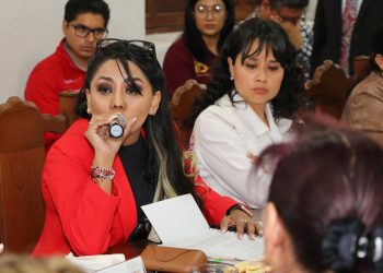 La concejala del Partido del Trabajo (PT), María Esther Rodríguez de la Serda acusó al Instituto Electoral de la Ciudad de México (IECM) de negarle las medidas cautelares ante una acusación que presentó de haber sido presuntamente víctima de violencia política contra la mujer en razón de género. FOTO: PT