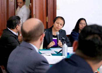 Liz Salgado destacó que, según cifras oficiales, la Ciudad de México enfrenta un déficit habitacional de hasta 700 mil viviendas, además de graves problemas estructurales en miles de unidades habitacionales. FOTO: Especial