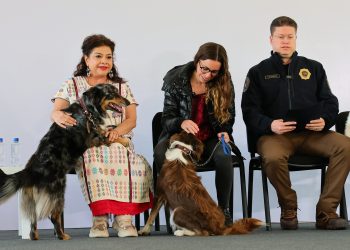 Bien que se busque evitar otros casos de maltrato animal, como el del Refugio Franciscano, pero sobre ello aquí una buena y una mala. FOTO: Especial
