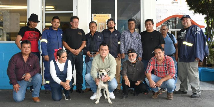 En Benito Juárez se impulsa una cultura que reconoce a los animales de compañía como seres sintientes, con derecho a una vida digna y segura.