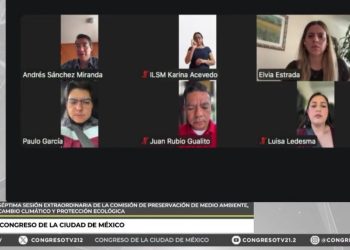 En la comisión del Congreso de la Ciudad de México se aprobaron seis dictámenes en materia de gestión de residuos eléctricos y electrónicos; etiquetado para la correcta disposición final de envases de plástico; fomentar los huertos urbanos; protección del arbolado urbano y bosques de agua, así como para expedir la Ley General de Control del Ruido Urbano.